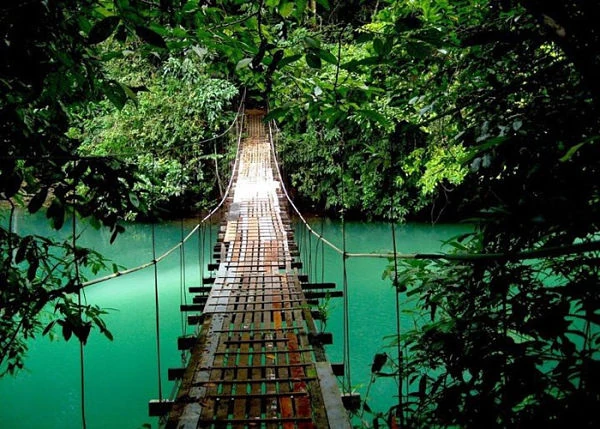 Puente colgante de madera sobre agua turquesa rodeado de bosque tropical denso, Costa Rica