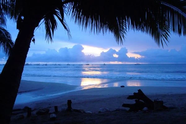 Atardecer en playa con palmas y rocas bajo cielo azul y rosado, zona Tamarindo, Costa Rica