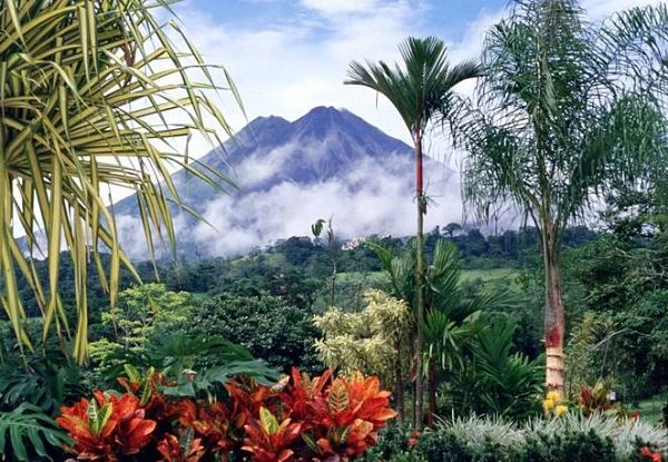 Volcán Arenal con nube en la cima, rodeado de bosque tropical y flores rojas, Costa Rica