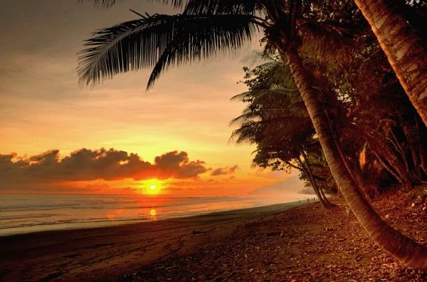 Atardecer en playa del Parque Nacional Corcovado con sol sobre el océano y árboles tropicales, Costa Rica