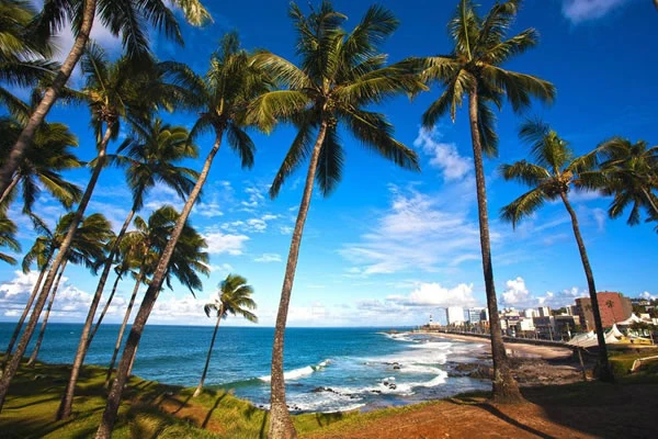 Playas tropicales con palmeras, mar azul y vegetación costera