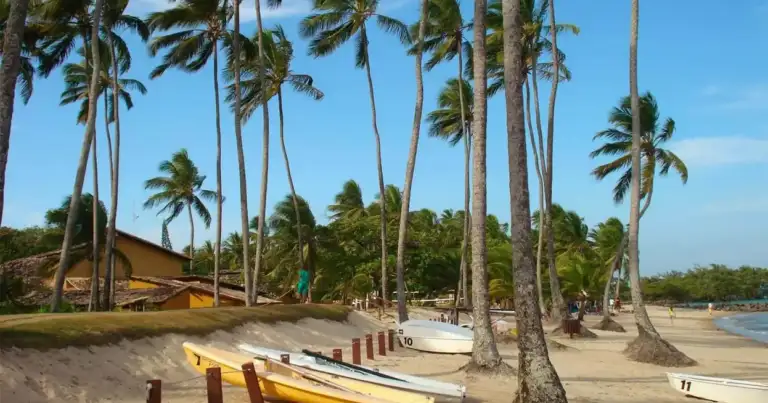 Resort de playa con palmeras, botes y arena dorada