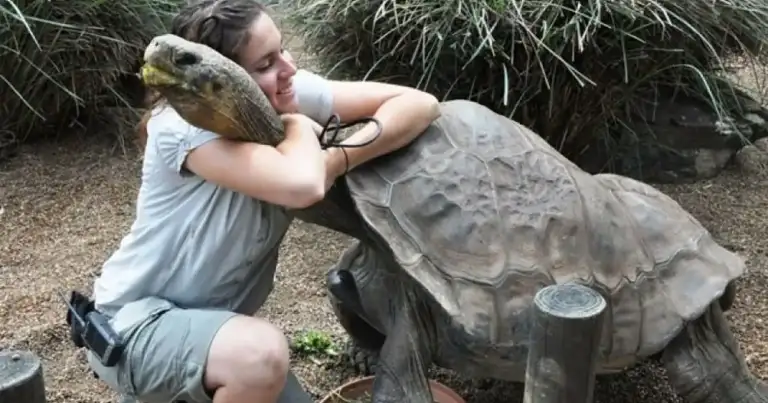 una mujer abraza a una tortuga gigante en el parque nacional galapagos