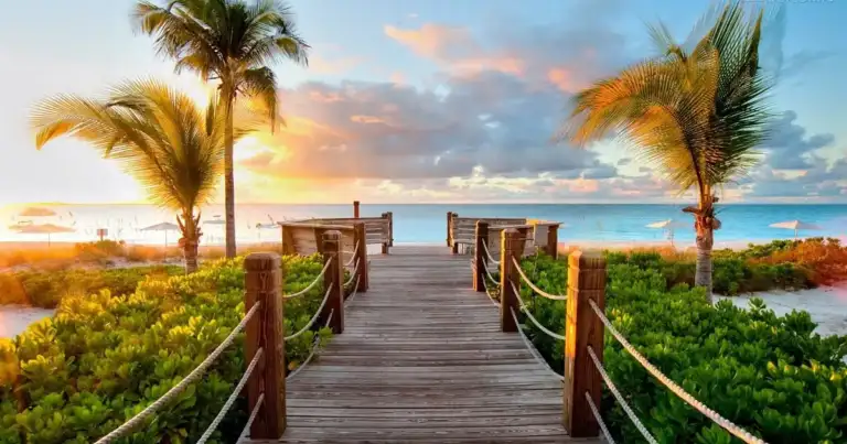 Muelle de madera al atardecer con palmeras
