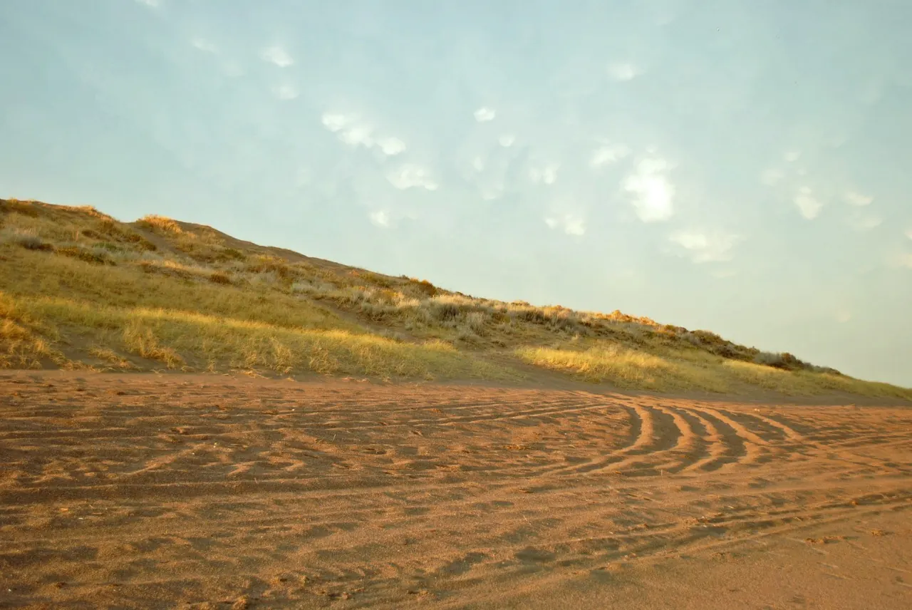 Playa de arena con dunas y colinas arenosas
