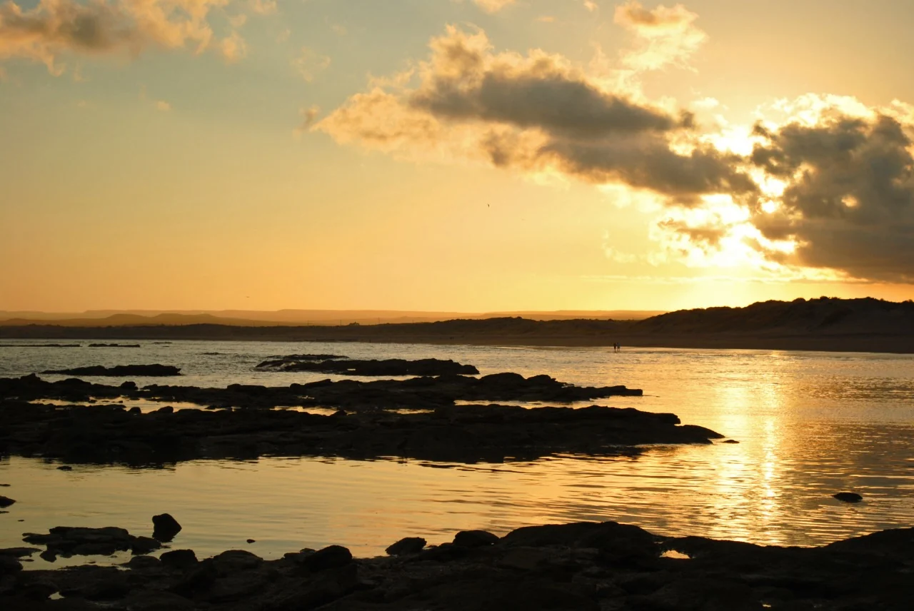 Atardecer dorado sobre el mar con rocas en primer plano