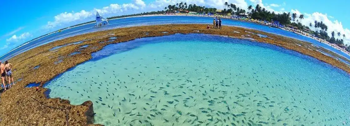 viajar a Brasil