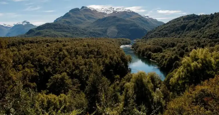Río azul entre bosque verde y montañas nevadas
