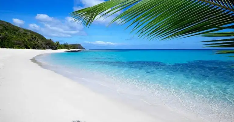 Playa tropical con arena blanca, aguas turquesas y palmeras en el primer plano