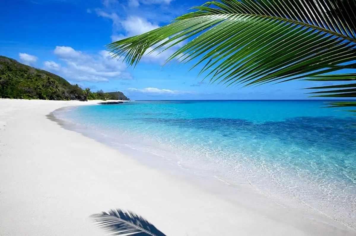 Playa tropical con arena blanca, aguas turquesas y palmeras en el primer plano