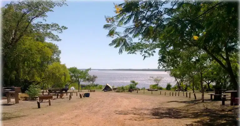 Parque ribereño con árboles, áreas de picnic y un amplio río al fondo