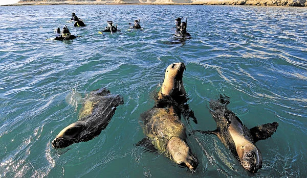 buceo en Puerto Madryn