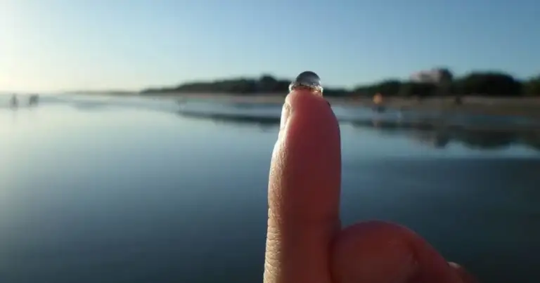 Dedo apuntando hacia el horizonte de un lago o río con costa lejana