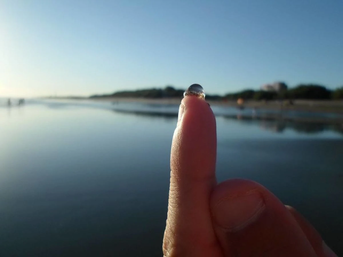 Dedo apuntando hacia el horizonte de un lago o río con costa lejana