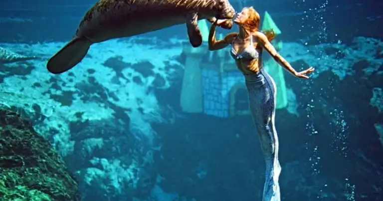 Buzo disfrazado de sirena buceando en agua turquesa cristalina