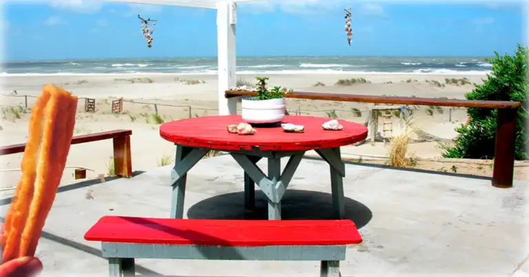 Mesa de picnic con comida junto a la playa y tubo salvavidas naranja