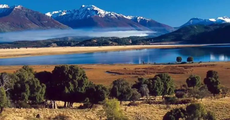 Lago turquesa rodeado de arena, bosque y montaña nevada bajo cielo azul