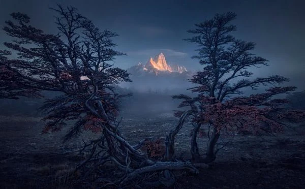 Monte Fitz Roy iluminado al atardecer con árboles retorcidos en primer plano