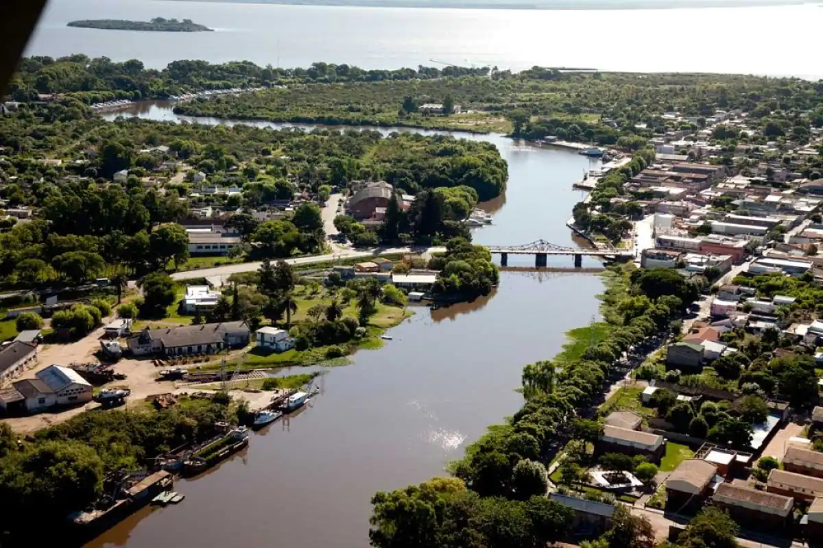 Vista aérea de viñedos en hileras y río serpenteante