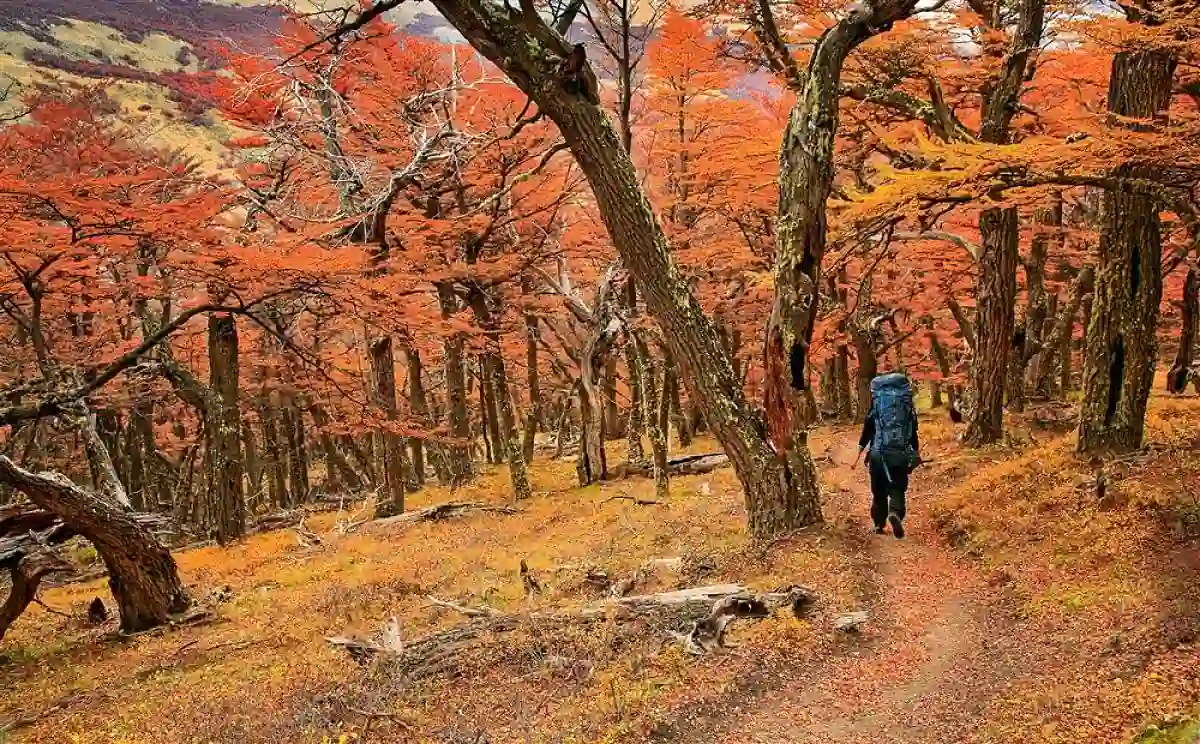 Parque nacional Tierra del Fuego