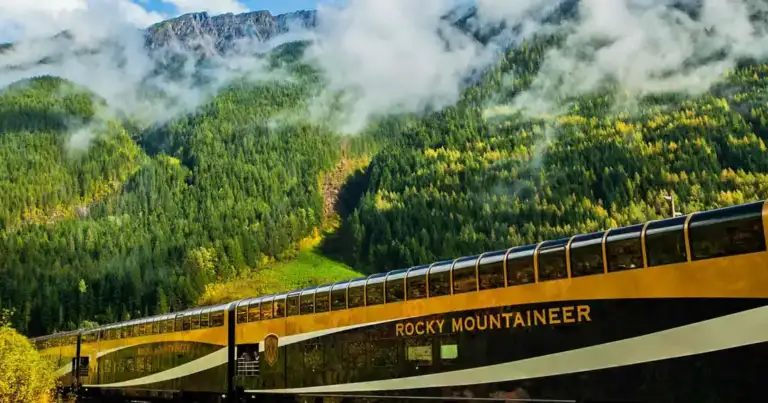 Tren de lujo con ventanas panorámicas atravesando paisaje montañoso boscoso