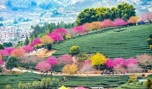 viaje a china