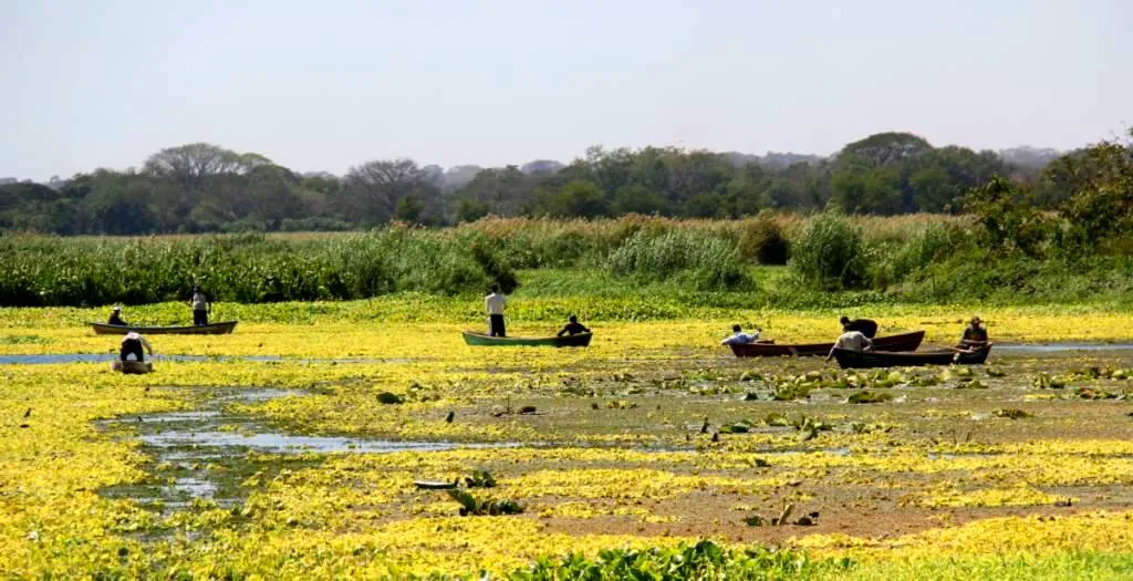 humedales en formosa