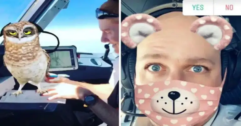 Dos pilotos en cabina usando filtros de redes sociales, uno sosteniendo búho