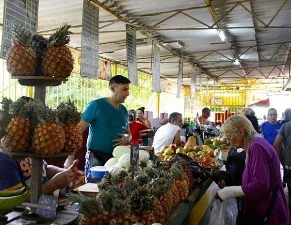 Mercado agrícola cubierto con vendedores y clientes alrededor de frutas