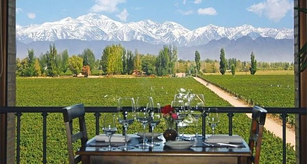 Mesa de almuerzo con vistas a viñedos y montañas nevadas