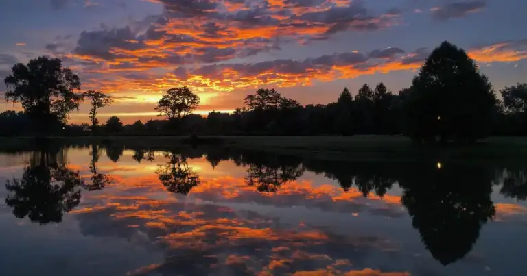 Atardecer con cielo anaranjado reflejado en agua, árboles en silueta