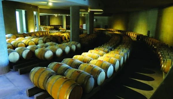 Bodega de vinos con barriles de roble alineados en filas
