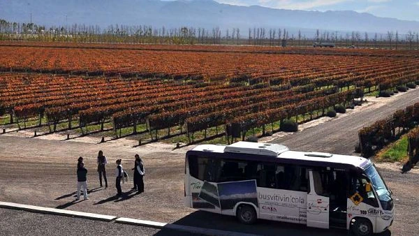 Autobús turístico en viñedo con visitantes entre plantas de vid