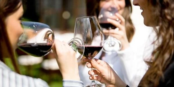 Dos personas brindando con copas de vino tinto al aire libre