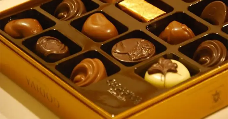 Caja abierta de chocolates artesanales variados en forma de trozos