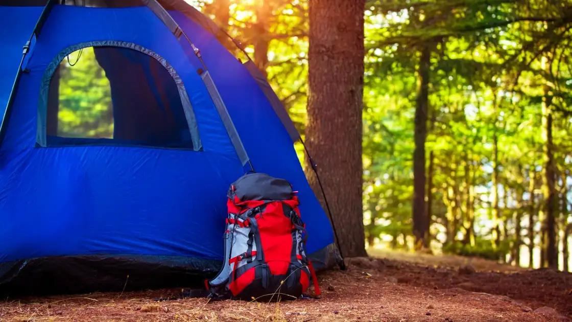 tipos de carpas