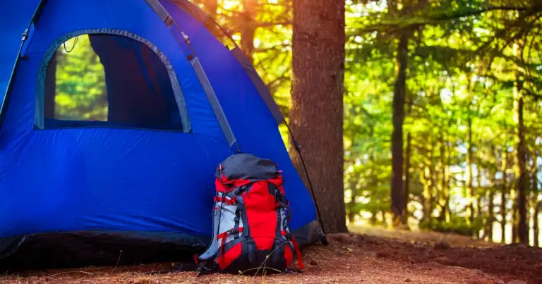 tipos de carpas