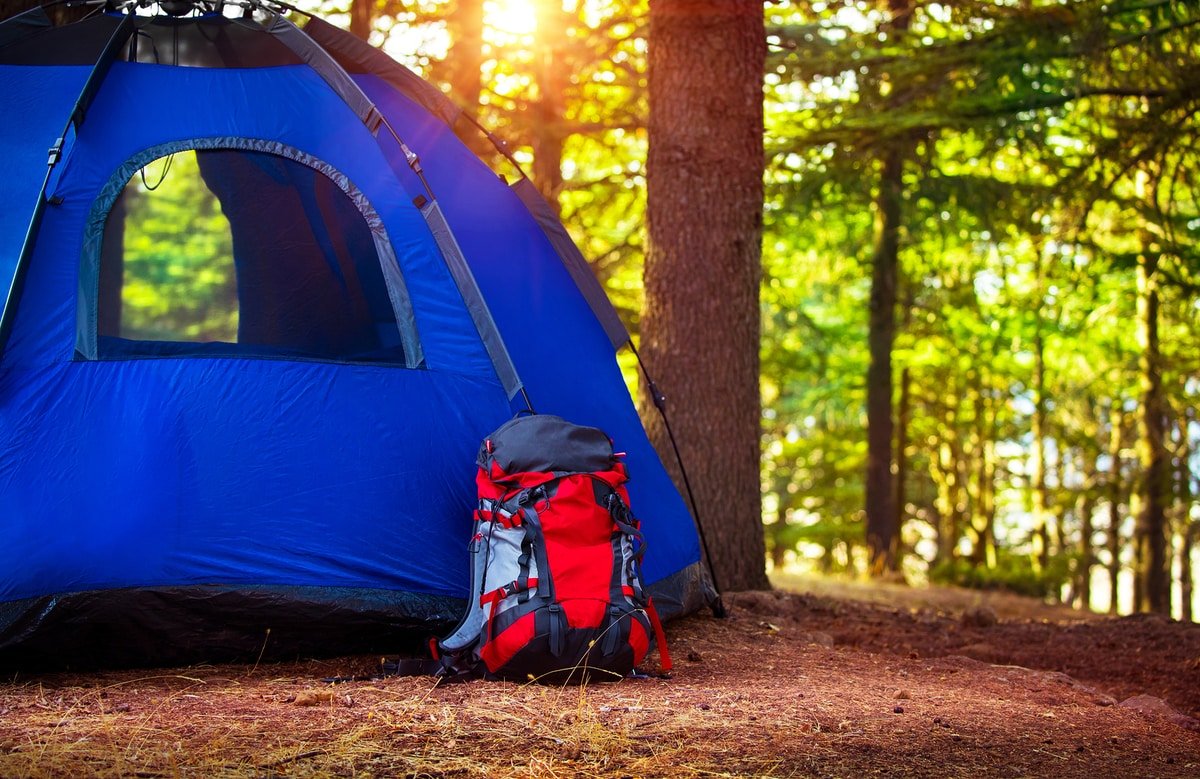 tipos de carpas