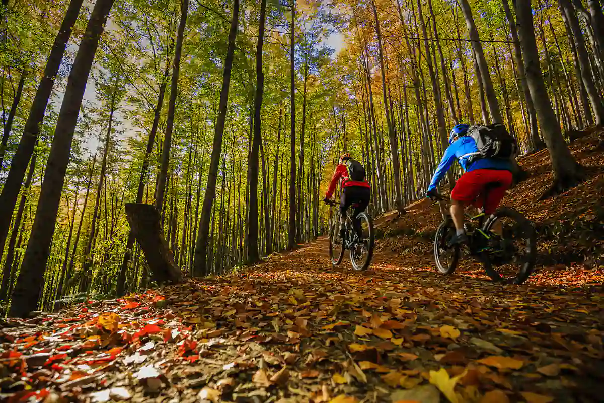 alquiler de bicicletas en villa la angostura