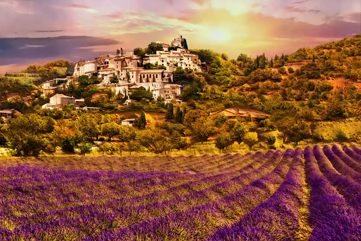 Rutas campos de lavanda Provenza