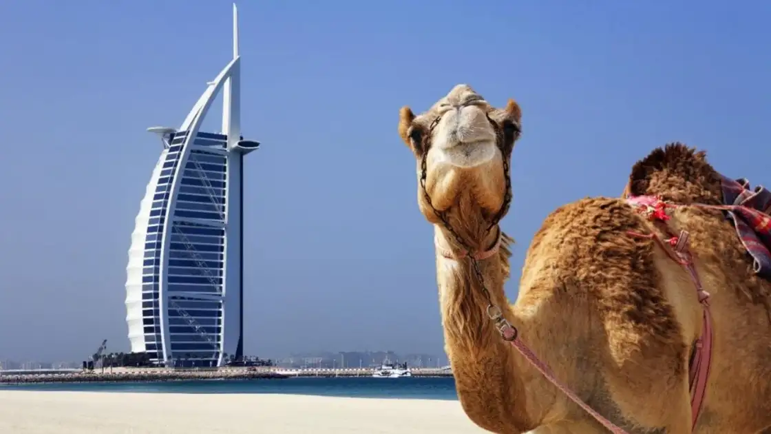 crucero a dubai