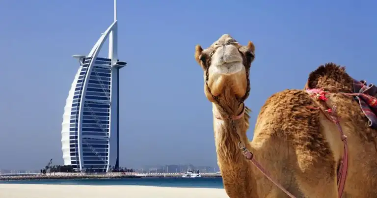 crucero a dubai