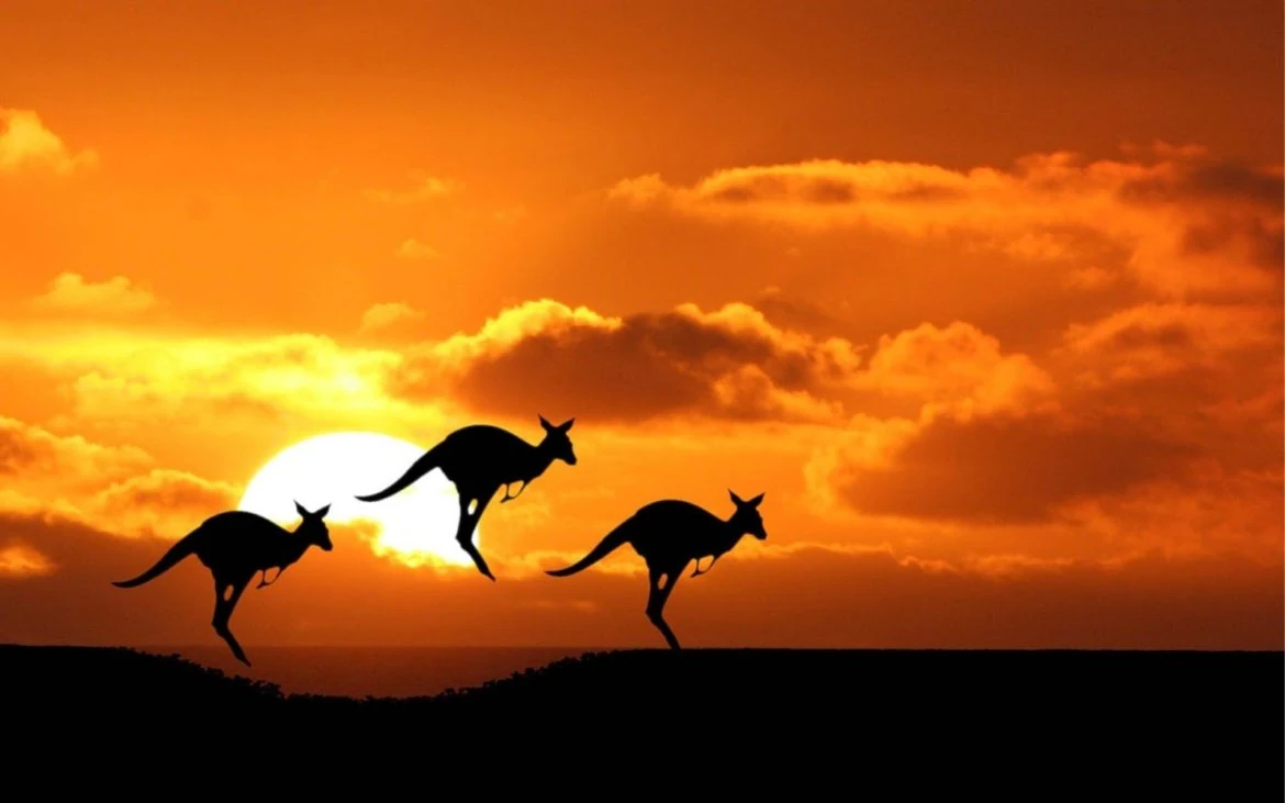 que hacer en australia