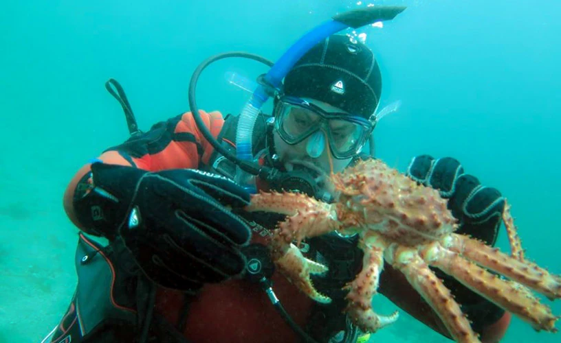 buceo en argentina lugares