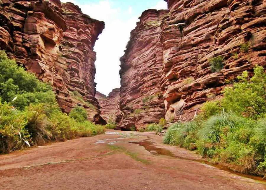 visitar el cañón de talampaya
