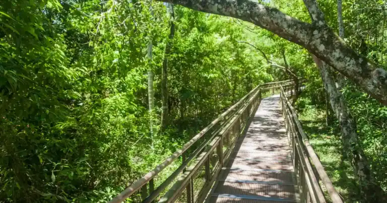 7 maravillas naturales argentinas
