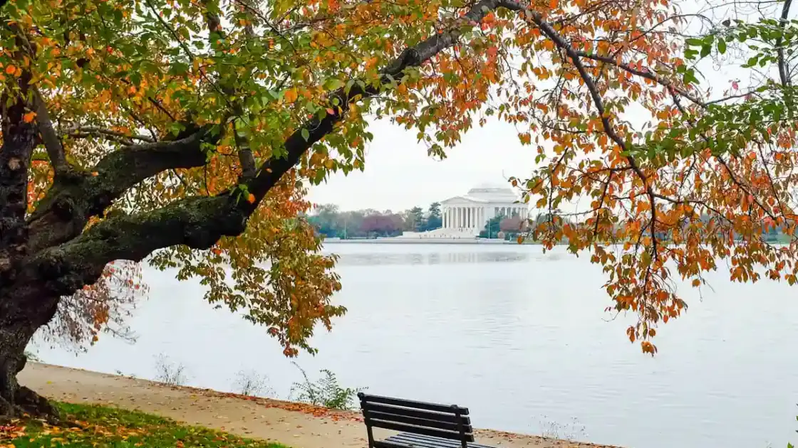 Una escapada a Washington: jazz, museos y excelente gastronomía