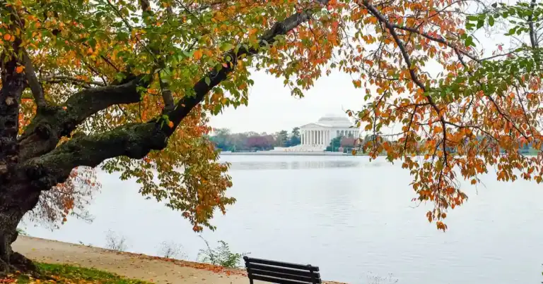 Una escapada a Washington: jazz, museos y excelente gastronomía