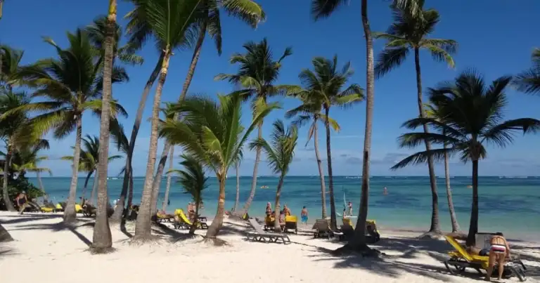 Playa tropical con palmeras, arena blanca y agua turquesa