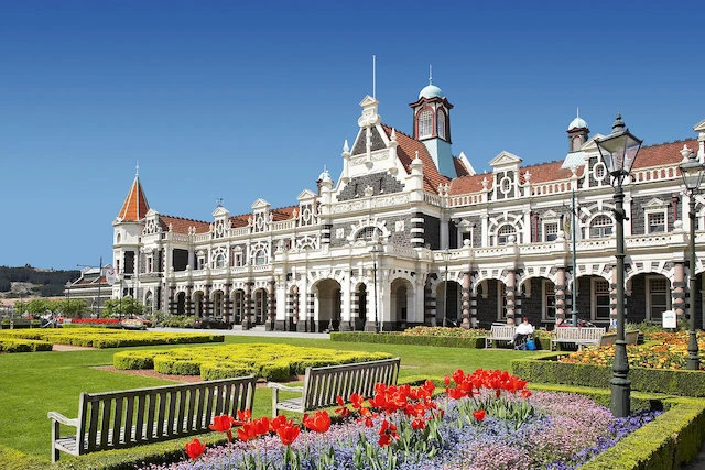 qué ver en dunedin
